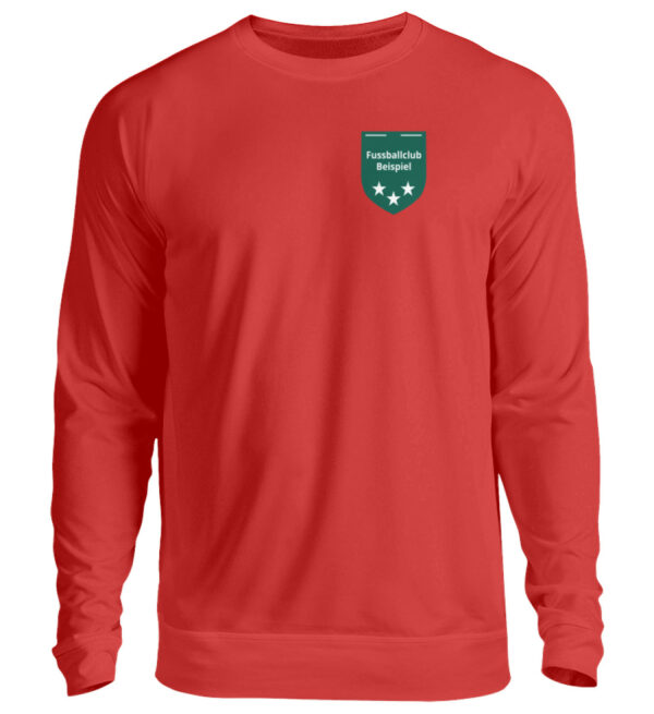 Beispiel Hoodies-Sweatshirts - Unisex Pullover-1565
